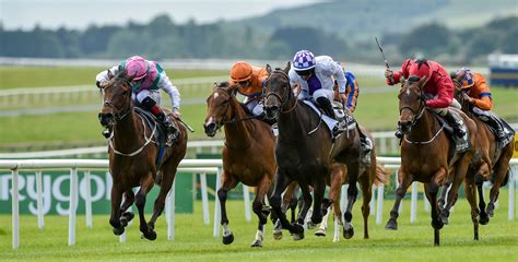 irish national hunt tips today|Irish Horse Racing Tips .
